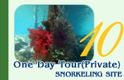 One Day Tour Private