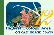 Highest Ecology Area on Gam Island