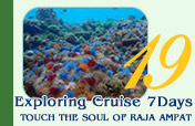 7 Days: Exploring Cruise