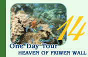 One Day Tour Heaven of Friwen Wall