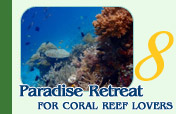 Paradise Retreat for Coral Reef Lovers
