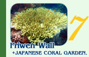 Friwen Wall and Japanese Coral Garden