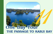 One Day Tour The passage to Kabui Bay