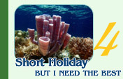 Too Short Holiday: But I need the best