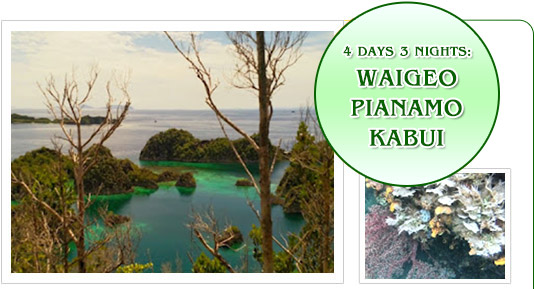 4 Days Waigeo Pianamo Kabui Bay